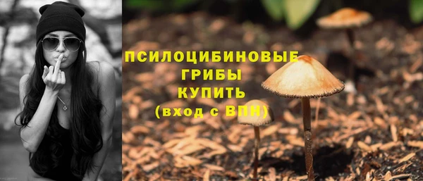 гидропоника Алзамай