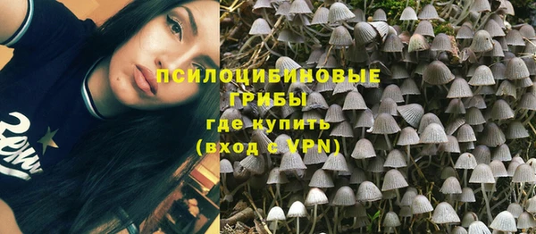 гидропоника Алзамай